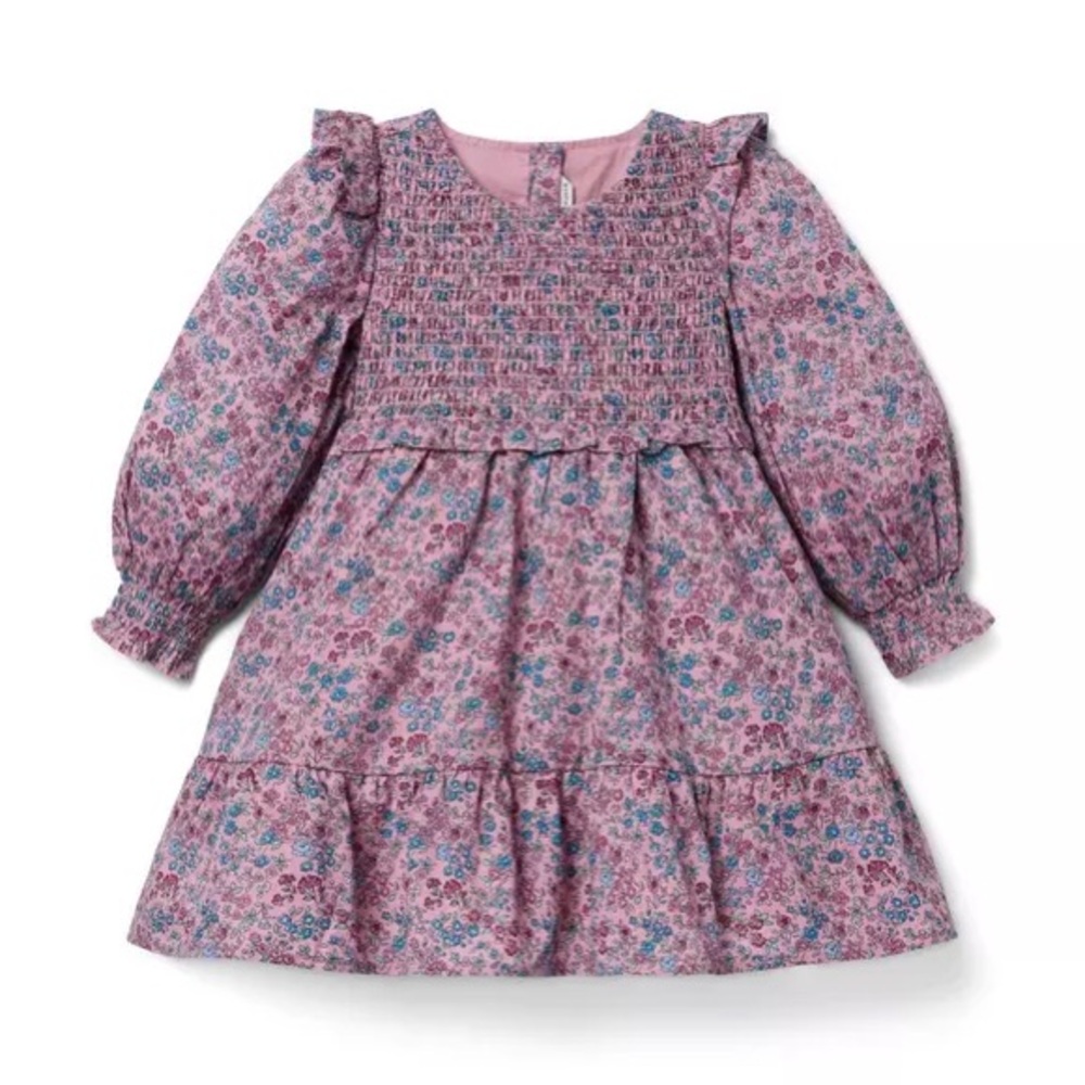 Janie and Jack Pink and Blue Floral Smocked Long-Sleeve Dress